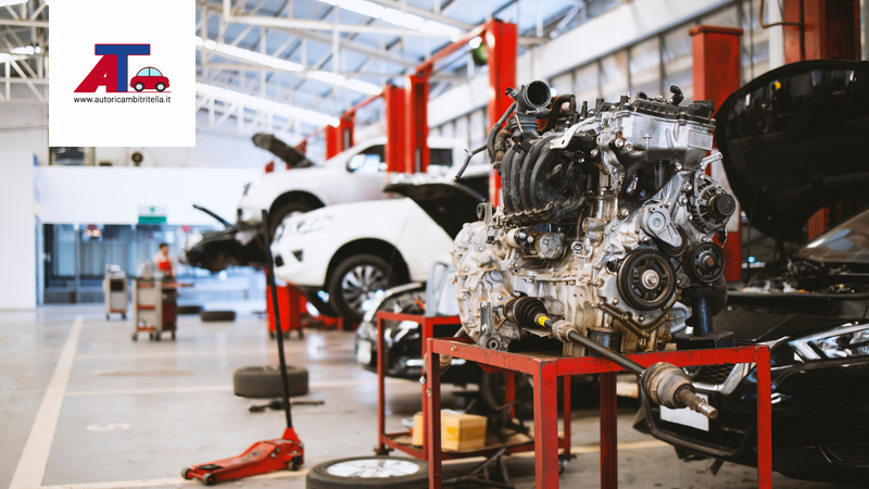 Quali sono le auto che sono entrate di più in officina nel 2024?