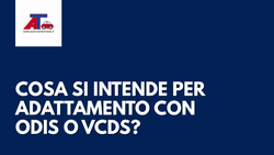COSA SI INTENDE PER ADATTAMENTO CON ODIS O VCDS?