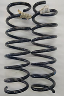 COPPIA molla Ammortizzatori ORIGINALE BMW Posteriore per BMW 5 E39 540 535 53
