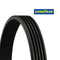 ✅ 5PK0825 GOODYEAR - CINGHIA ESTERNA