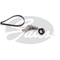 ✅ GATES K016PK893XS - KIT CINGHIA POLY-V CITROEN 1611627180