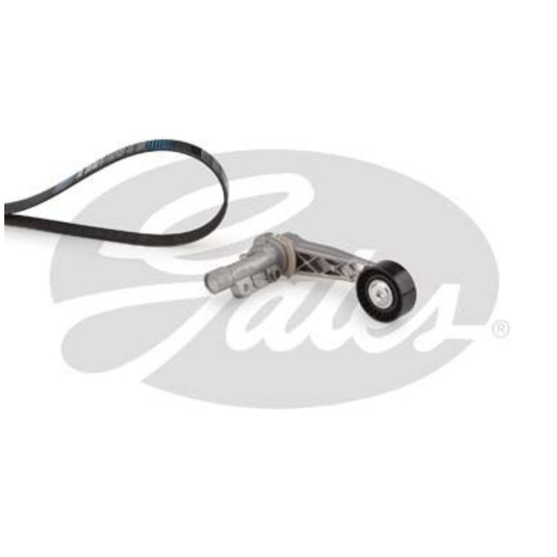 ✅ GATES K016PK893XS - KIT CINGHIA POLY-V CITROEN 1611627180