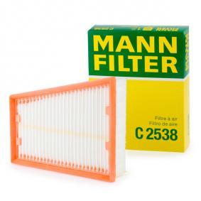 C2538 MANN-FILTER Filtro aria